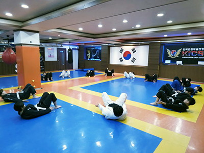 한국근접무술연맹 KICS